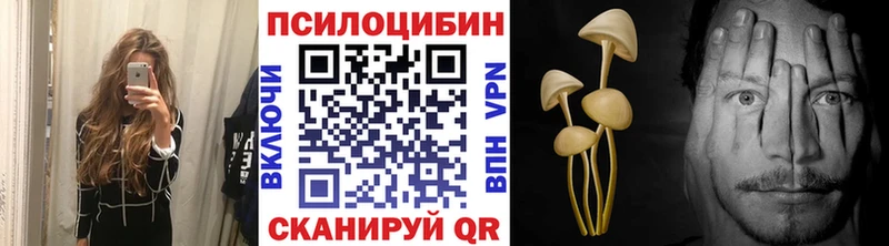 Псилоцибиновые грибы мицелий  Орлов 